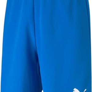 Puma Teamrise Short - Unisex Adult Shorts